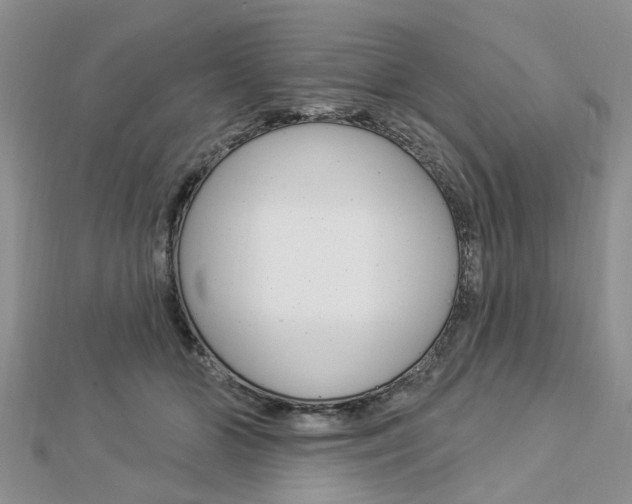 X0000112920510200908241034