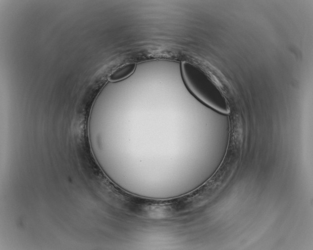 X0000112920513200908241034