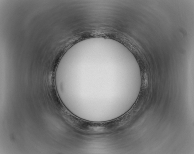 X0000112920514200908241034