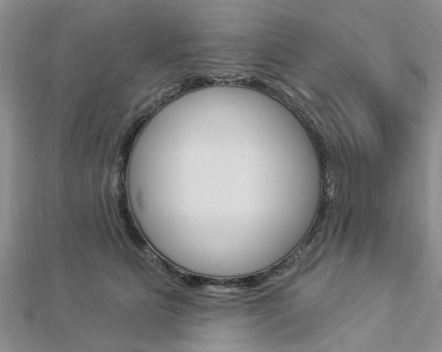 X0000112920515200908241034