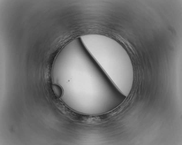 X0000112920517200908241033