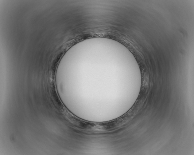 X0000112920518200908241033