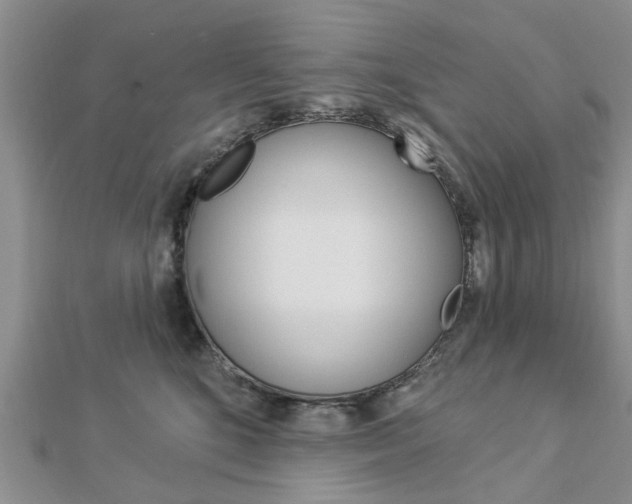 X0000112920520200908241033