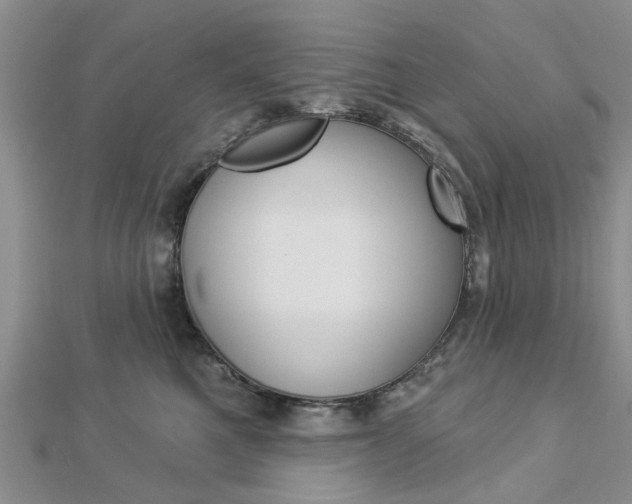 X0000112920521200908241033