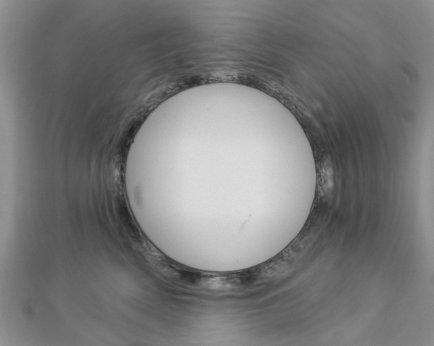 X0000112920522200908241033