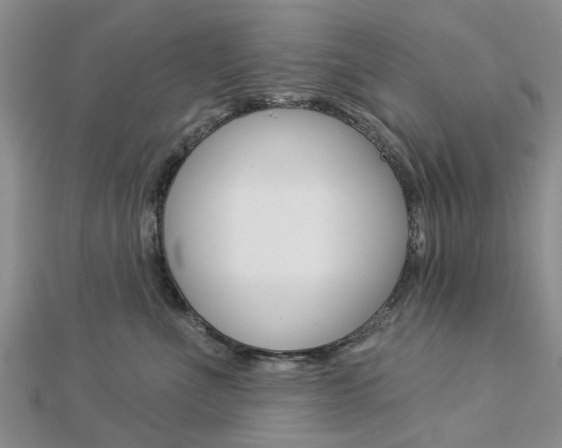 X0000112920523200908241033