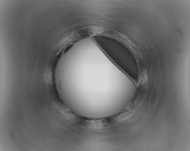 X0000112920524200908241033