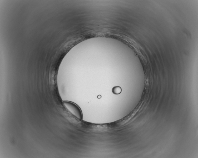 X0000112920525200908241033