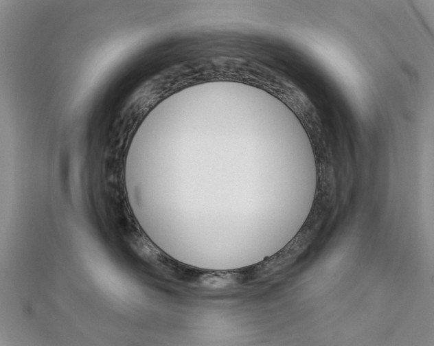 X0000112920526200908241033