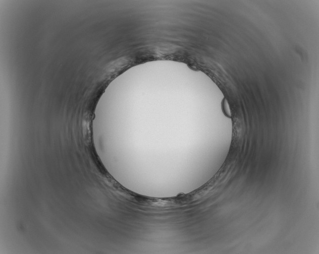 X0000112920527200908241033
