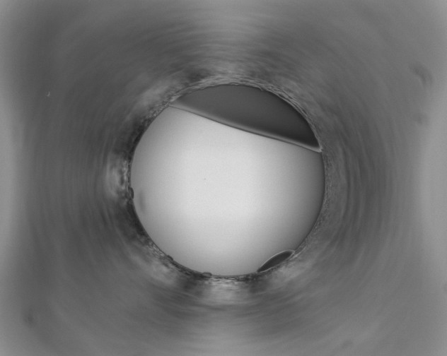 X0000112920528200908241033