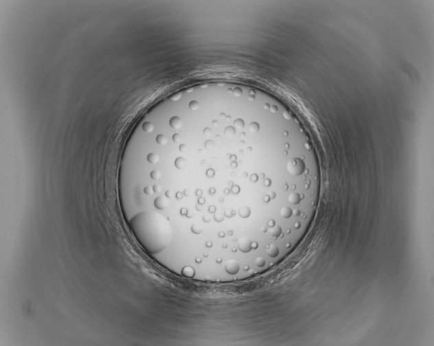 X0000112920529200908241033