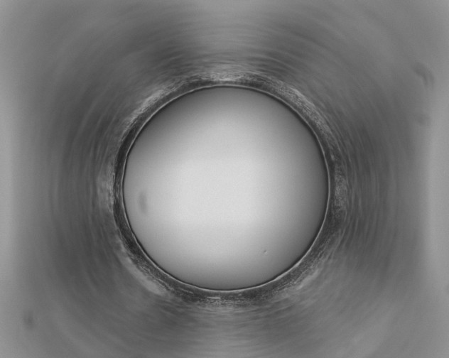 X0000112920530200908241033