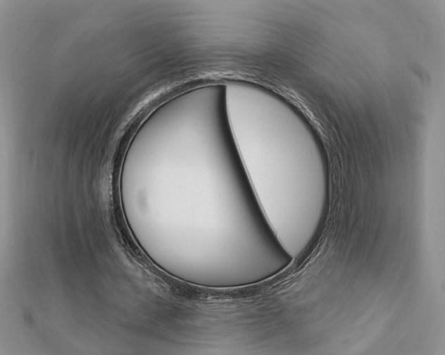 X0000112920531200908241033
