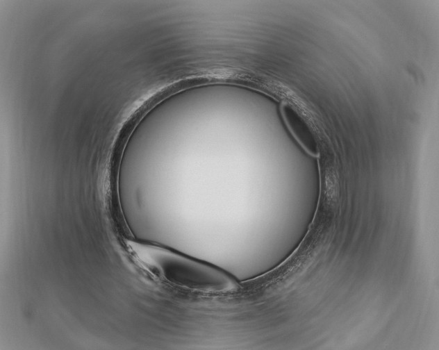X0000112920532200908241033