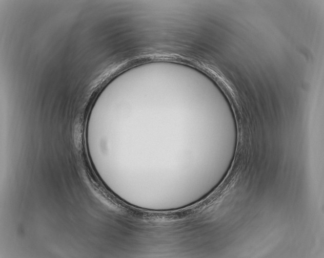 X0000112920533200908241033