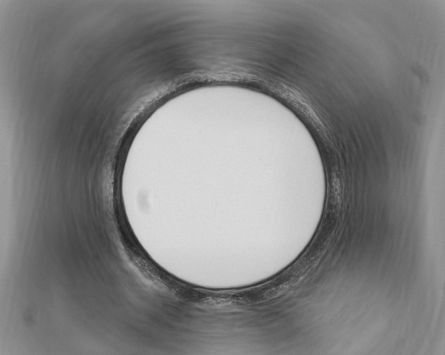X0000112920534200908241033