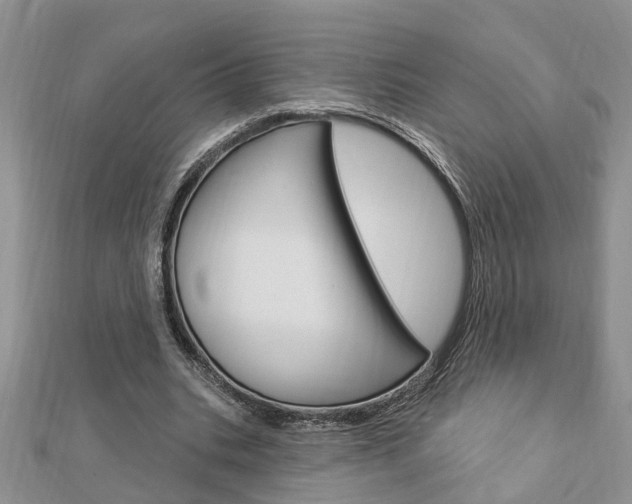 X0000112920535200908241033