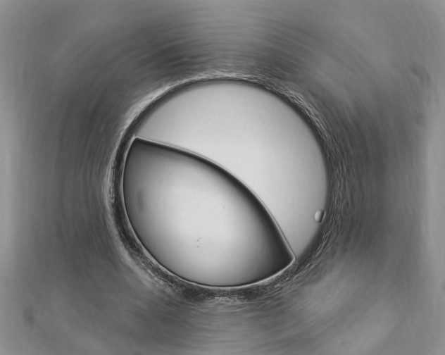 X0000112920536200908241033
