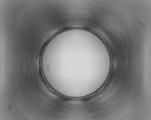 X0000112920537200908241033