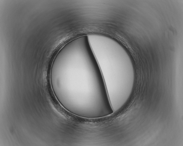 X0000112920538200908241033