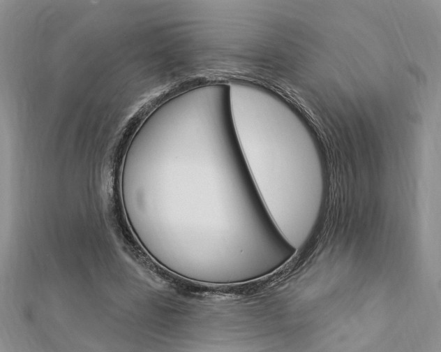 X0000112920539200908241033