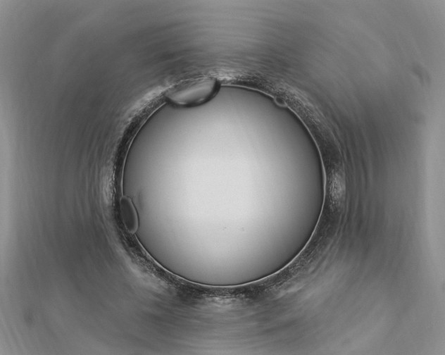 X0000112920540200908241033