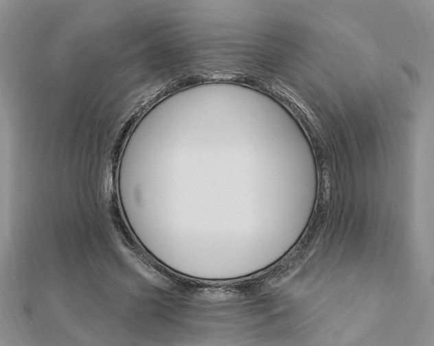 X0000112920541200908241033