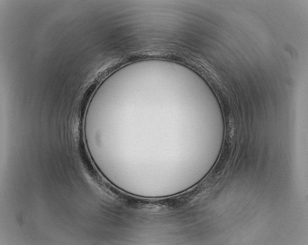 X0000112920542200908241033