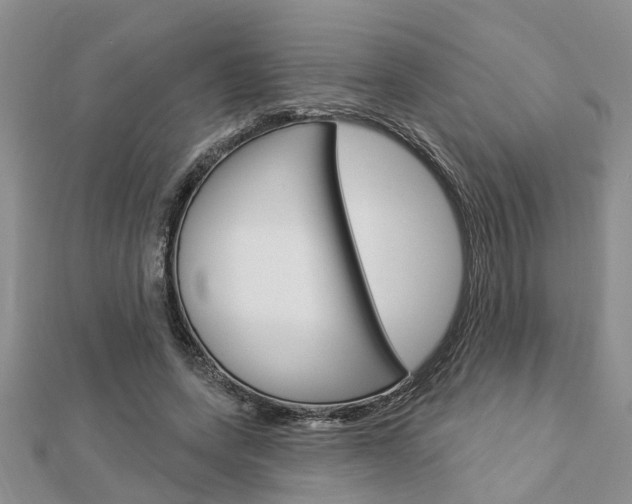 X0000112920543200908241033