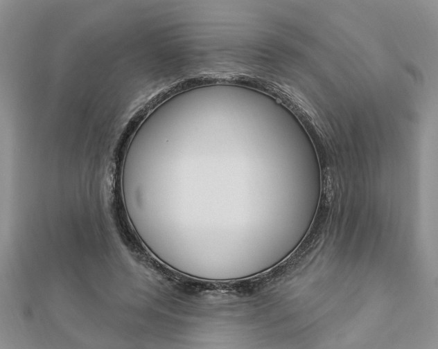 X0000112920544200908241033