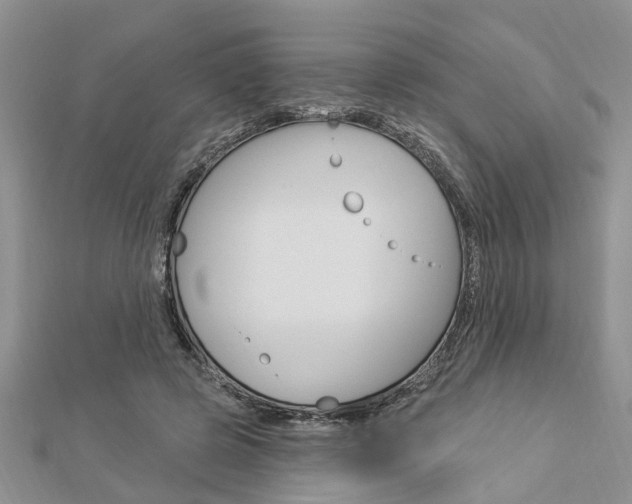 X0000112920545200908241033