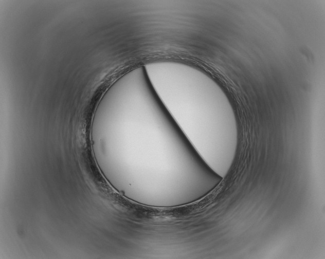 X0000112920547200908241033
