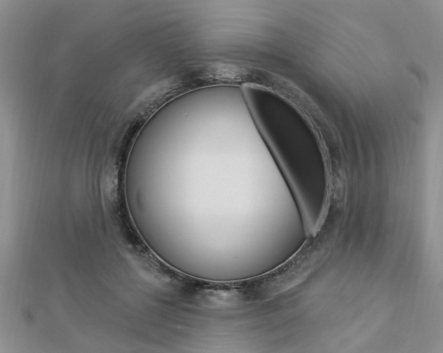 X0000112920552200908241033
