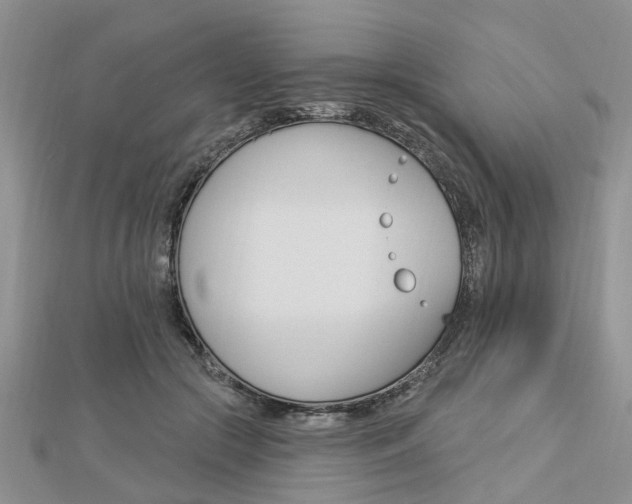 X0000112920553200908241033