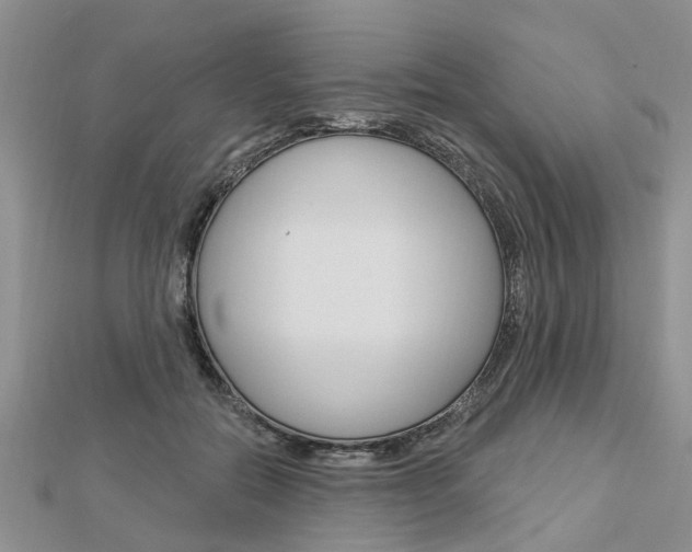 X0000112920554200908241033