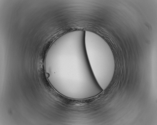 X0000112920555200908241033
