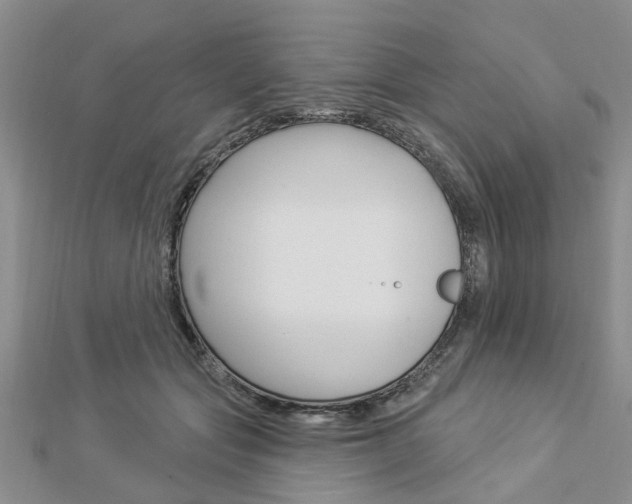 X0000112920557200908241033
