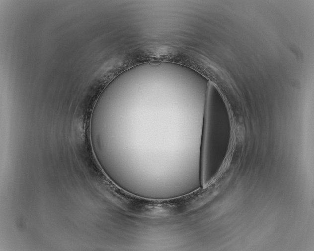 X0000112920558200908241033