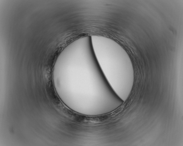 X0000112920559200908241033