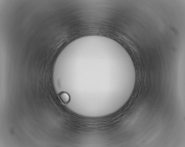 X0000112920560200908241033