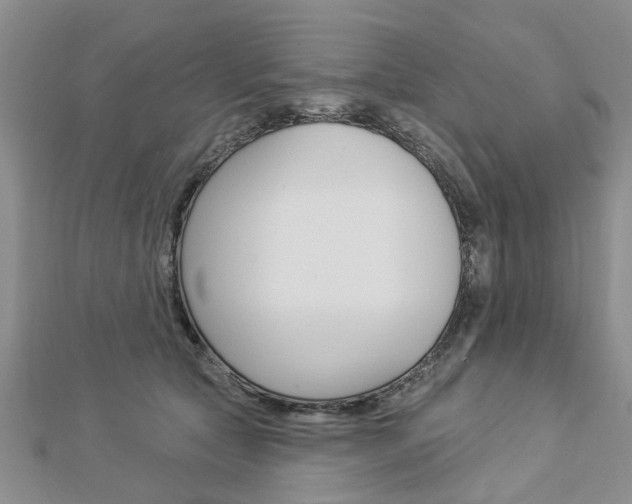 X0000112920561200908241033