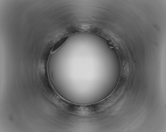 X0000112920562200908241033