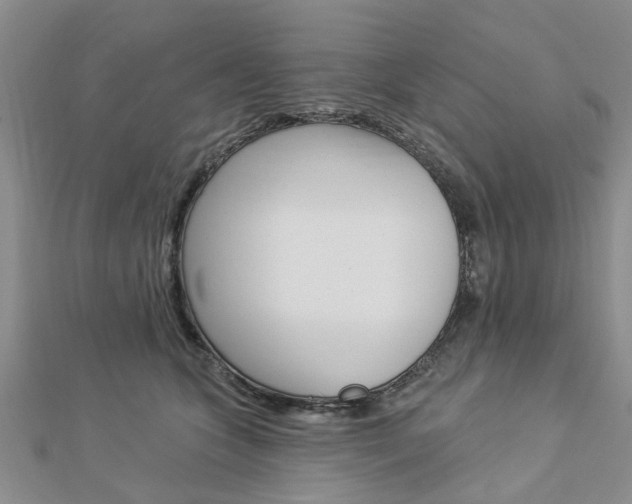 X0000112920563200908241033