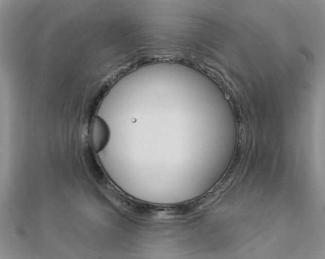X0000112920564200908241033