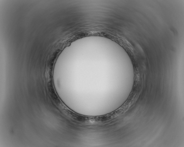 X0000112920565200908241033