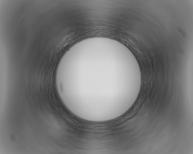 X0000112920568200908241033