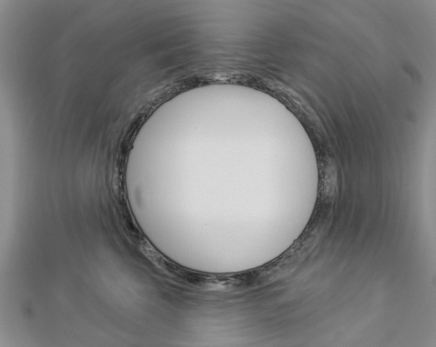X0000112920569200908241033