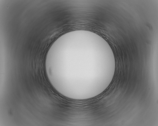 X0000112920570200908241033