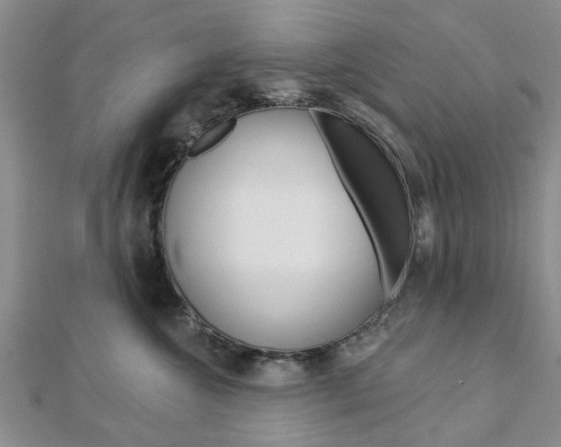 X0000112920572200908241033